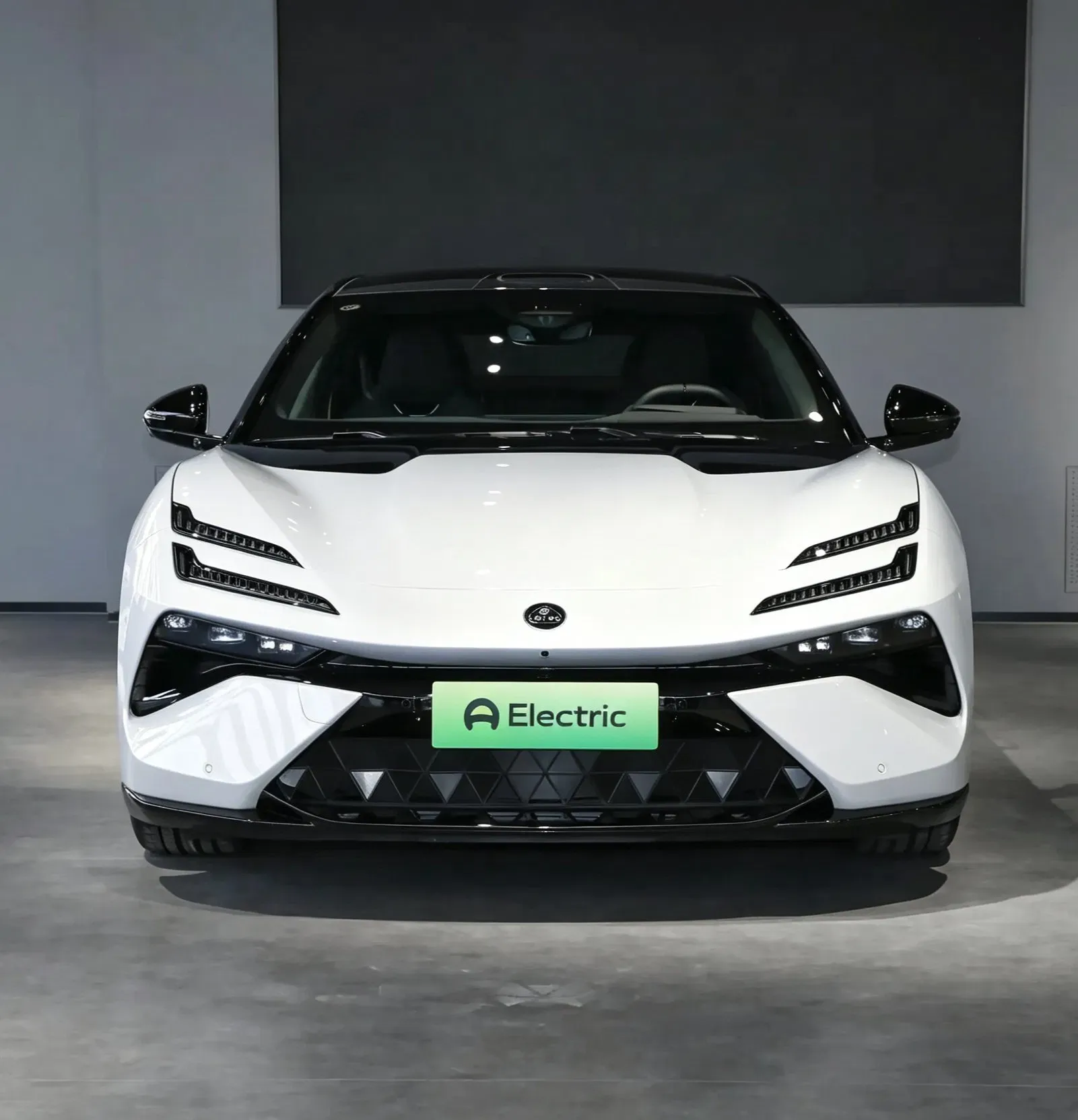 imgi_39_Lotus-Emeya-600se-Ultimate-Electric-Car-with-Ternary-Lithium-Battery Lotus Emeya 600se Ultimate Electric Car– Wholesale Price From China | Import Cars From China - Image 1